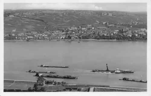 Rüdesheim a. Rhein Blick vom Rochusberg ngl 193.766
