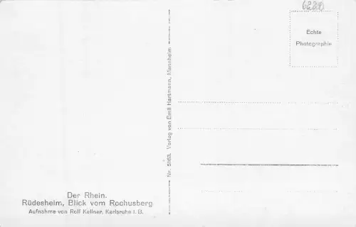 Rüdesheim a. Rhein Blick vom Rochusberg ngl 193.766