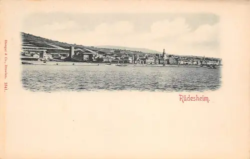 Rüdesheim a. Rhein Teilansicht ngl 193.771