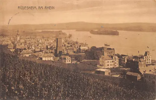 Rüdesheim a. Rhein Panorama Belgische Feldpost feldpgl1921 193.779