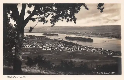 Rüdesheim a. Rhein Gesamtansicht ngl 193.776