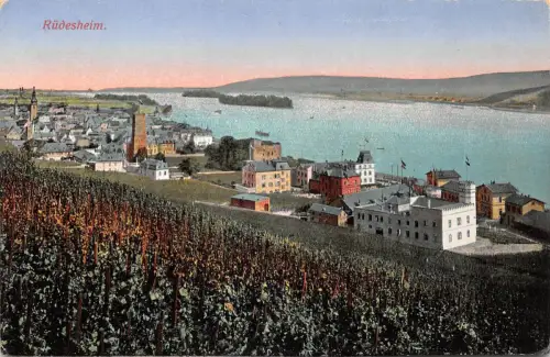 Rüdesheim a. Rhein Gesamtansicht ngl 193.777