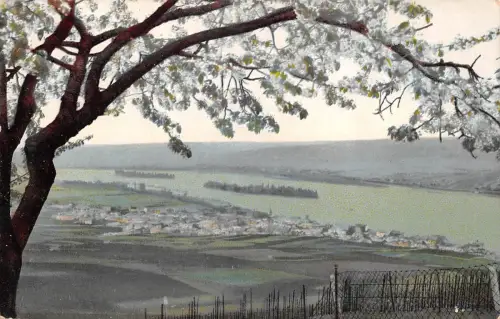 Rüdesheim a. Rhein Panorama ngl 193.772