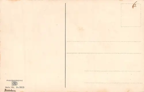 Rüdesheim a. Rhein Panorama ngl 193.772