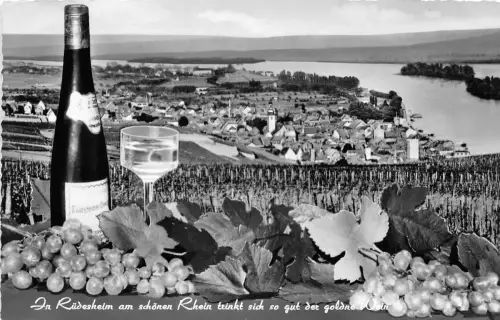 Rüdesheim a. Rhein Gesamtansicht ngl 193.775