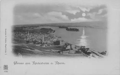 Rüdesheim a. Rhein Mondscheinlitho Panorama ngl 193.819
