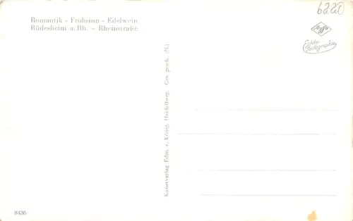 Rüdesheim a. Rhein Rheinstraße ngl 193.820