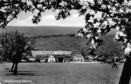 Rüdesheim a. Rhein Waldgasthof Ebental gl1960 193.827