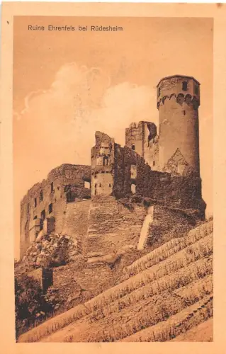 Ehrenfels a. Rh. Panorama ngl 193.920