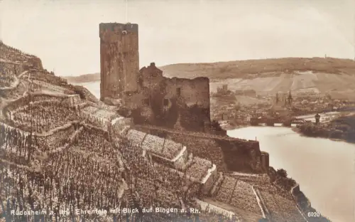 Ehrenfels a. Rh. Blick auf Bingen ngl 193.918