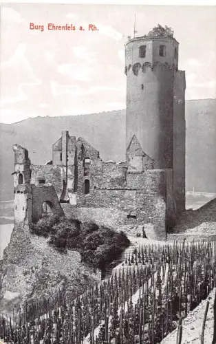 Ehrenfels a. Rh. Panorama ngl 193.919