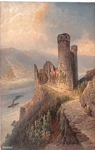 Ehrenfels a. Rh. Panorama Künstlerkarte ngl 193.923