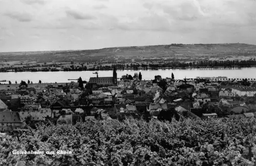 Geisenheim a.Rh. Panorama ngl 193.937