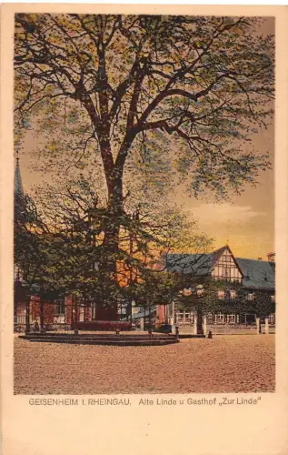 Geisenheim a.Rh. Alte Linde u. Gasthof "Zur Linde" gl1928 193.938