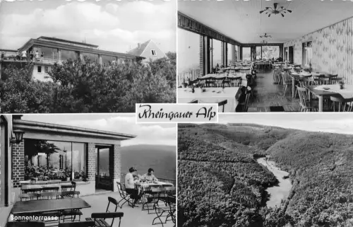 Pressberg i. Rhg. Gaststätte Rheingauer Alp gl1961 193.947