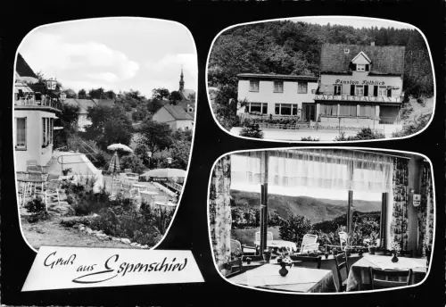 Espenschied/Taunus Mehrbildkarte ngl 193.954