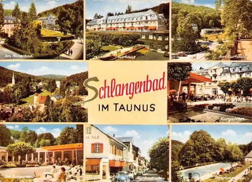 Schlangenbad i. T. Mehrbildkarte gl1963 194.008