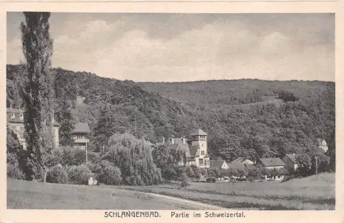 Schlangenbad i. T. Partie im Schweizertal ngl 193.991