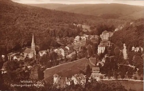 Schlangenbad i. T. Panorama ngl 193.998