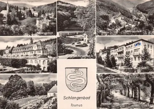 Schlangenbad i. T. Mehrbildkarte gl1967 194.005