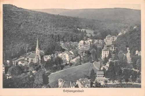Schlangenbad i. T. Panorama ngl 193.997