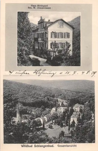 Schlangenbad i. T. Haus Hildegard, Gesamtansicht ngl 194.002