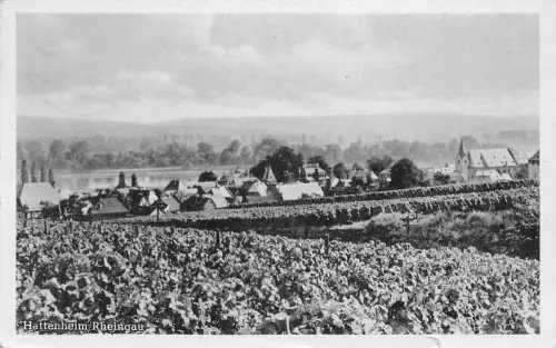 Hattenheim/Rheingau Panorama gl1958 194.044