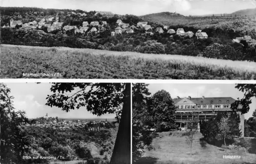 Mammolsheim im Taunus Mehrbildkarte gl 194.075