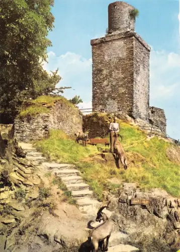 Falkenstein i. T. Burg Falkenstein ngl 194.126