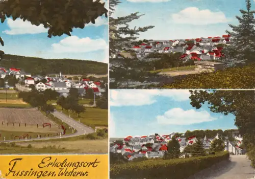 Fussingen Mehrbildkarte gl 194.182