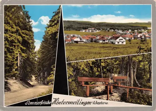 Hintermeilingen Mehrbildkarte gl1973 194.179