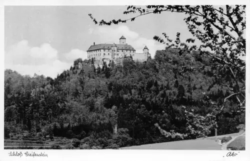 Greifenstein Kr.Wetzlar Schloß ngl 194.408
