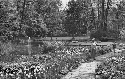 Bad Nauheim Kurpark ngl 194.500