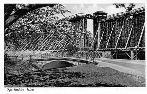 Bad Nauheim Saline ngl 194.502