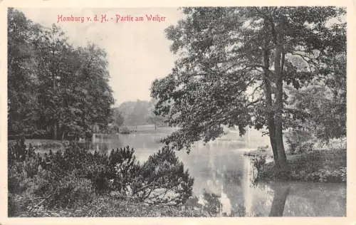 Homburg v.d.H. Partie am Weiher gl1915 194.550