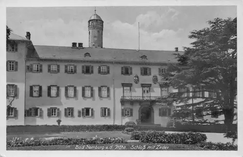 Homburg v.d.H. Schloß mit Zeder ngl 194.556