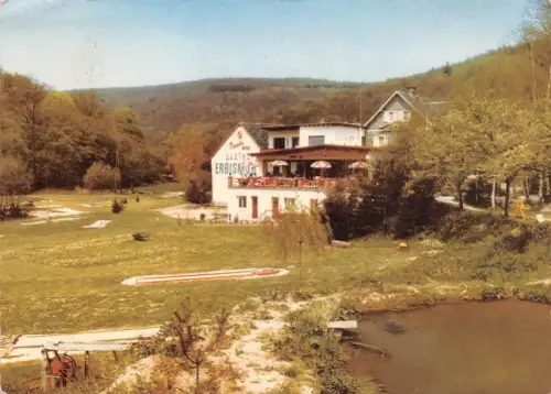 Neuweilnau i.T. Gasthof Erbismühle gl1969 194.630