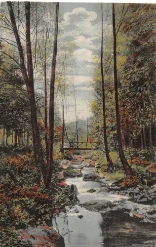 Lochmühle i. Taunus Partie am Erlenbach gl1914 194.635