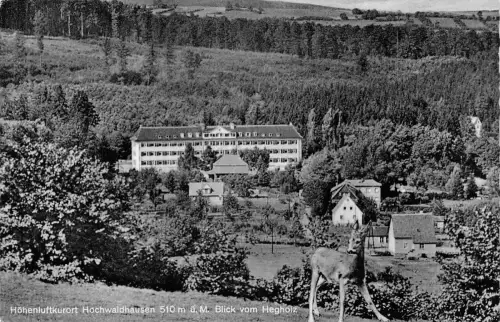 Hochwaldhausen Blick vom Hegholz gl1959 194.752