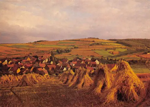 Untergeis in Hessen Panorama ngl 194.802