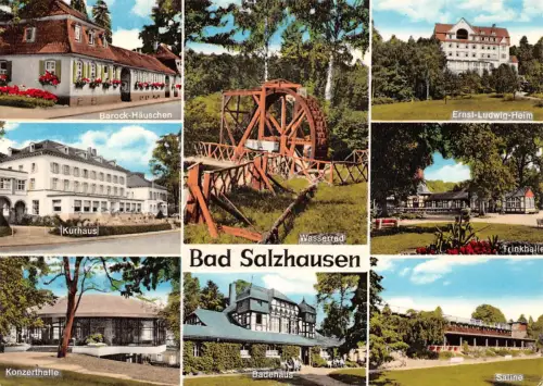 Bad Salzhausen Mehrbildkarte gl1975 194.928