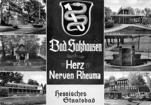 Bad Salzhausen Mehrbildkarte gl 194.929