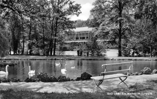 Bad Orb Am Weiher im Kurpark gl1965 194.972