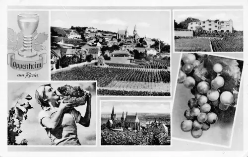 Oppenheim a. Rh. Mehrbildkarte gl1973 195.196