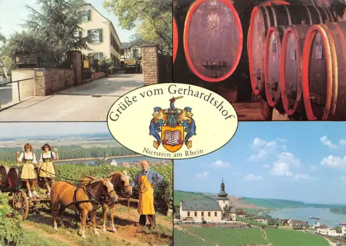 Nierstein am Rhein Gerhardshof Mehrbildkarte ngl 195.210