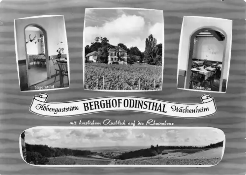 Wachenheim Berghof Odinsthal ngl 195.330