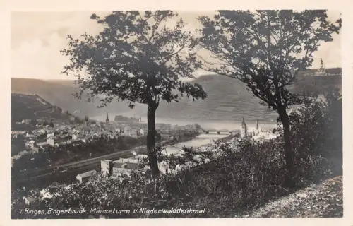 Bingen und Bingerbrück Panorama ngl 195.340