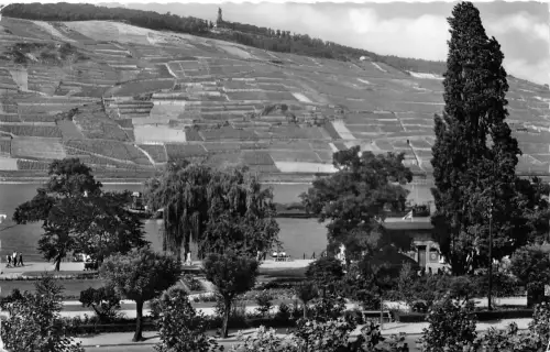 Bingen am Rhein Rheinanlagen gl1957 195.352