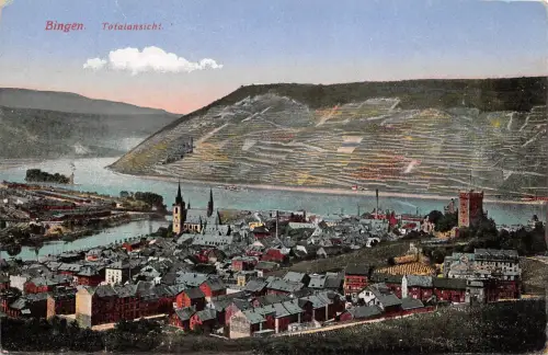 Bingen am Rhein Totalansicht ngl 195.374