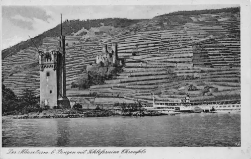 Bingen am Rhein Mäuseturm Ruine Ehrenfels ngl 195.405